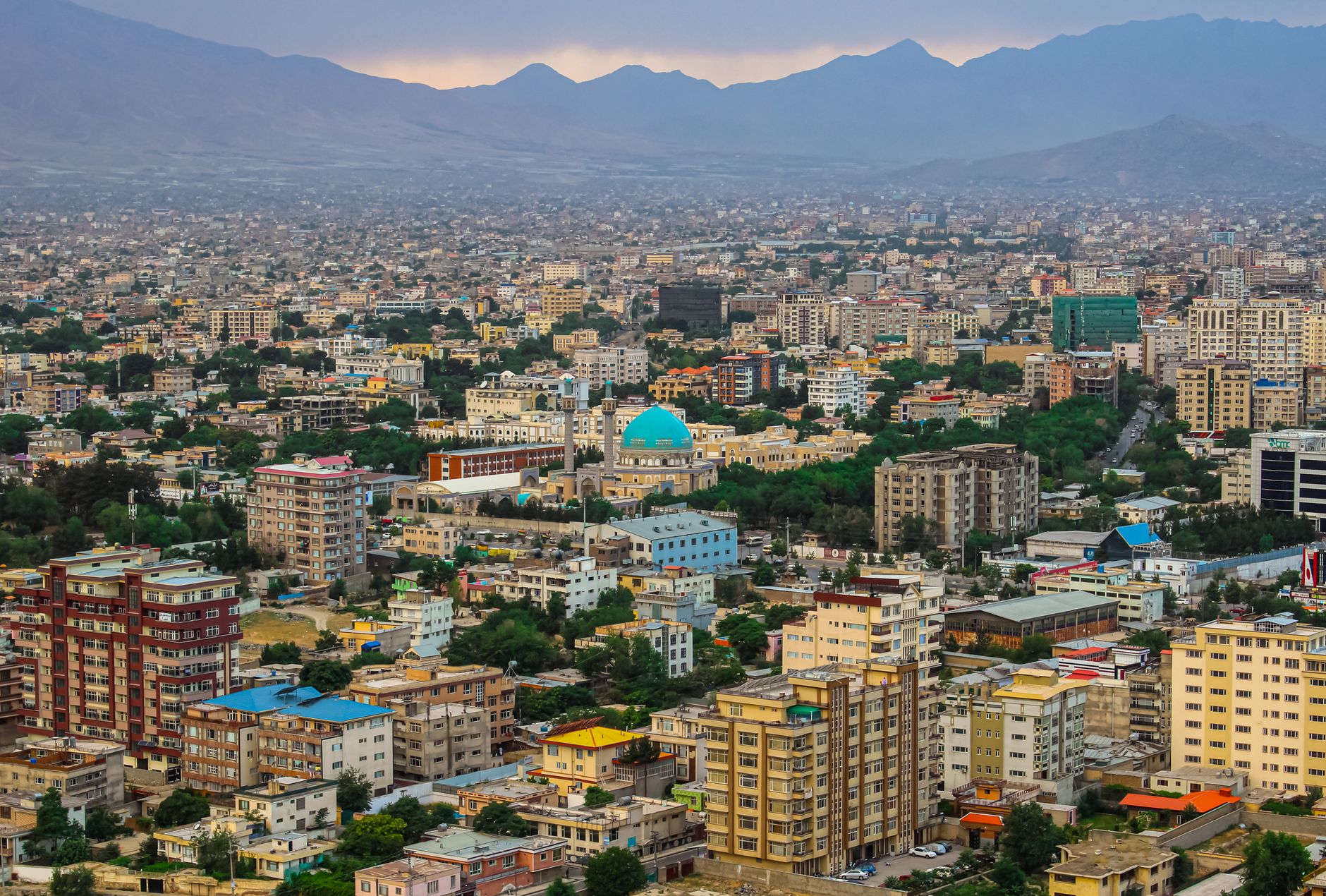 Mehidy boost for Afghanistan